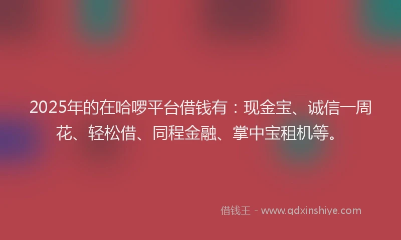 2025年的在哈啰平台借钱有：现金宝、诚信一周花、轻松借、同程金融、掌中宝租机等。
