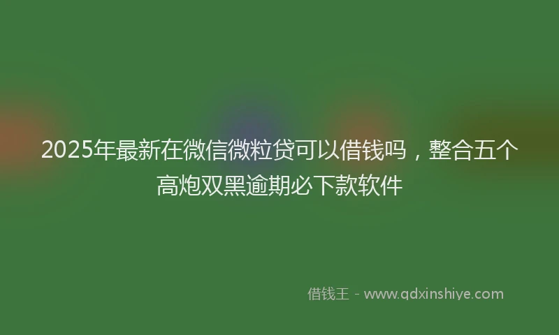 2025年最新在微信微粒贷可以借钱吗，整合五个高炮双黑逾期必下款软件