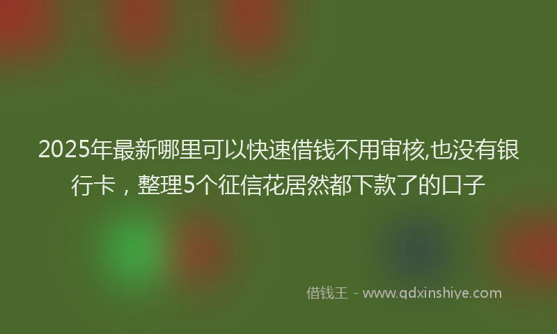 2025年最新哪里可以快速借钱不用审核,也没有银行卡，整理5个征信花居然都下款了的口子