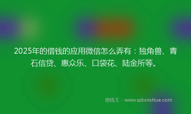 2025年的借钱的应用微信怎么弄有：独角兽、青石信贷、惠众乐、口袋花、陆金所等。