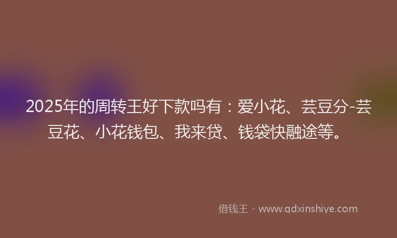 2025年的周转王好下款吗有：爱小花、芸豆分-芸豆花、小花钱包、我来贷、钱袋快融途等。