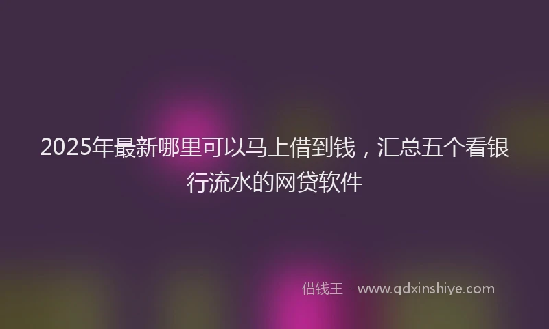 2025年最新哪里可以马上借到钱，汇总五个看银行流水的网贷软件