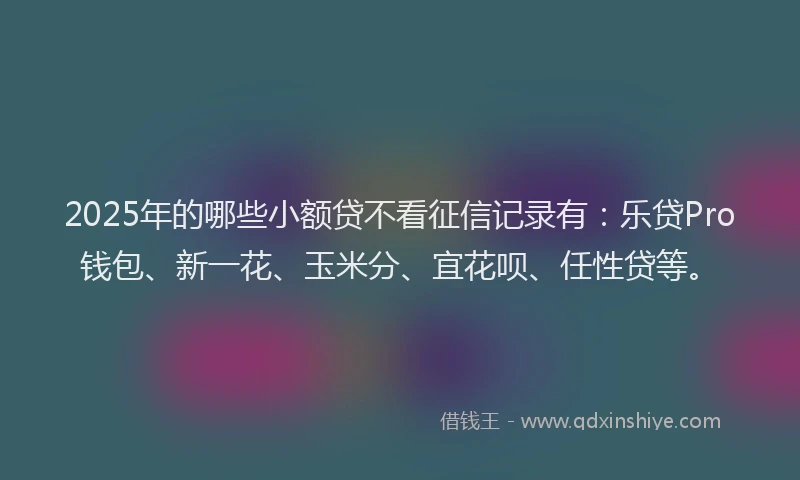 2025年的哪些小额贷不看征信记录有：乐贷Pro钱包、新一花、玉米分、宜花呗、任性贷等。