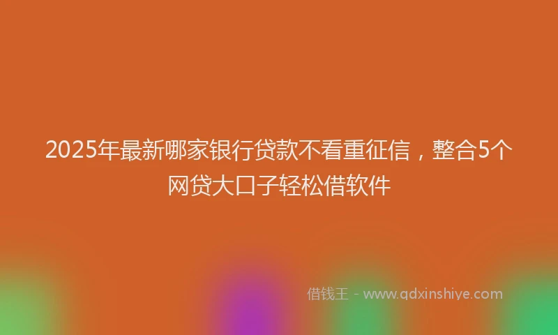 2025年最新哪家银行贷款不看重征信，整合5个网贷大口子轻松借软件