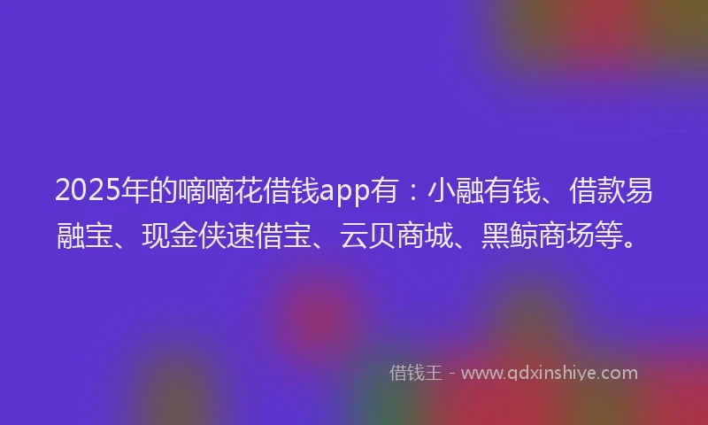 2025年的嘀嘀花借钱app有：小融有钱、借款易融宝、现金侠速借宝、云贝商城、黑鲸商场等。