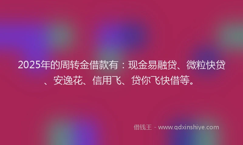 2025年的周转金借款有：现金易融贷、微粒快贷、安逸花、信用飞、贷你飞快借等。
