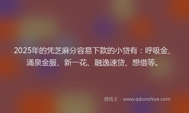 2025年的凭芝麻分容易下款的小贷有：呼吸金、涌泉金服、新一花、融逸速贷、想借等。