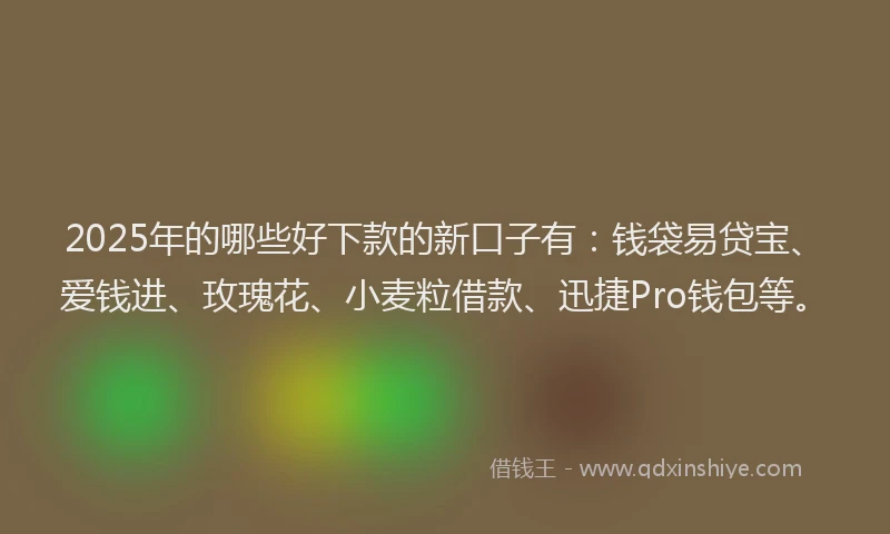2025年的哪些好下款的新口子有：钱袋易贷宝、爱钱进、玫瑰花、小麦粒借款、迅捷Pro钱包等。