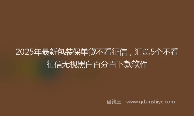 2025年最新包装保单贷不看征信，汇总5个不看征信无视黑白百分百下款软件