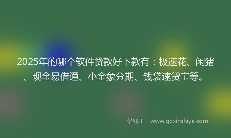 2025年的哪个软件贷款好下款有：极速花、闲猪、现金易借通、小金象分期、钱袋速贷宝等。