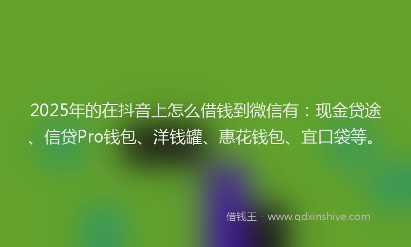 2025年的在抖音上怎么借钱到微信有：现金贷途、信贷Pro钱包、洋钱罐、惠花钱包、宜口袋等。