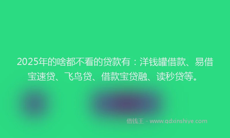 2025年的啥都不看的贷款有：洋钱罐借款、易借宝速贷、飞鸟贷、借款宝贷融、读秒贷等。