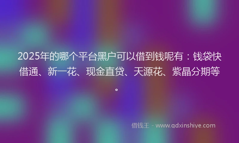 2025年的哪个平台黑户可以借到钱呢有：钱袋快借通、新一花、现金直贷、天源花、紫晶分期等。