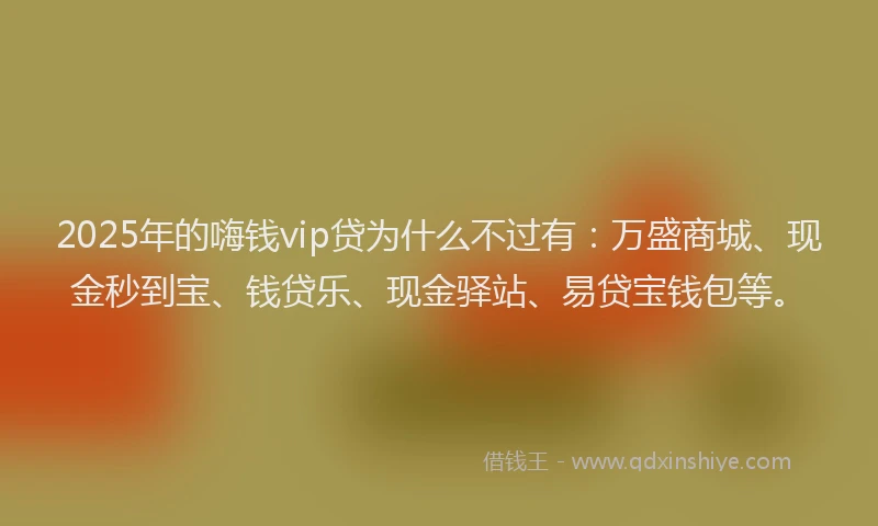 2025年的嗨钱vip贷为什么不过有：万盛商城、现金秒到宝、钱贷乐、现金驿站、易贷宝钱包等。