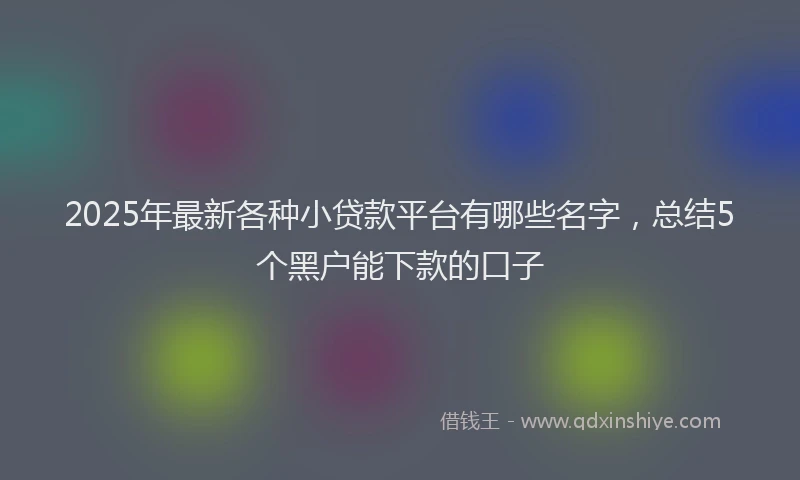 2025年最新各种小贷款平台有哪些名字，总结5个黑户能下款的口子