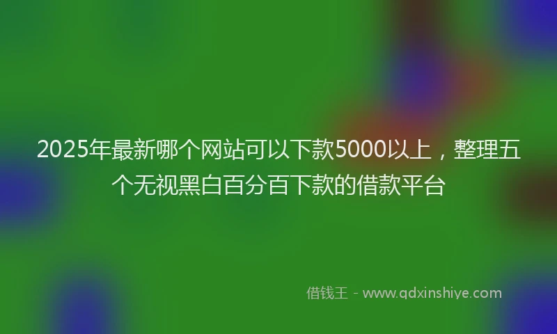 2025年最新哪个网站可以下款5000以上，整理五个无视黑白百分百下款的借款平台