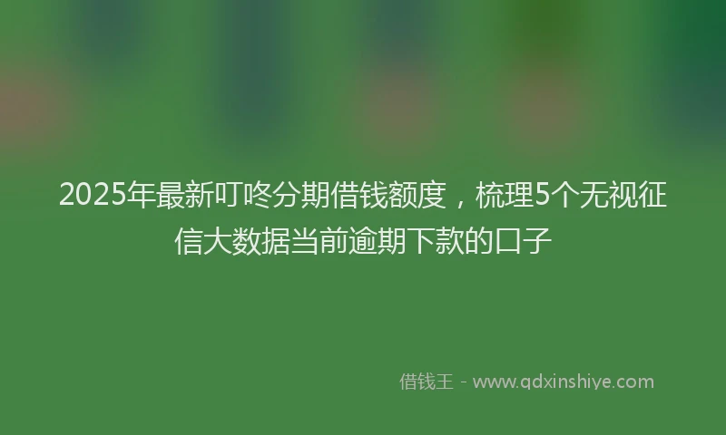 2025年最新叮咚分期借钱额度，梳理5个无视征信大数据当前逾期下款的口子