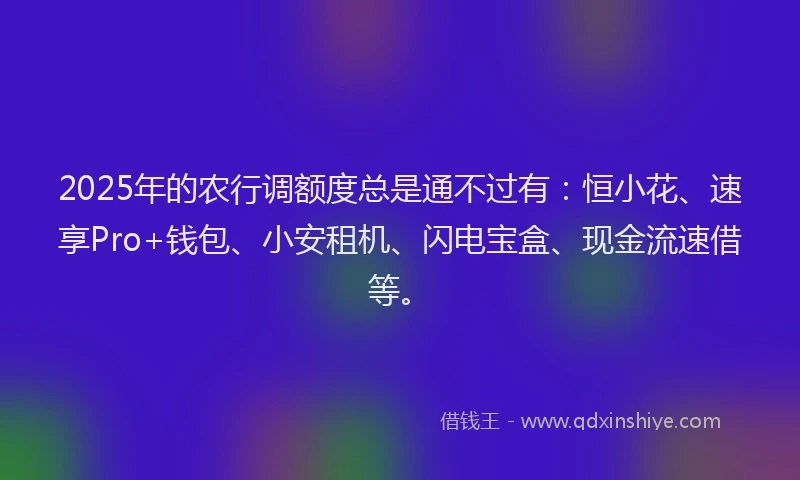 2025年的农行调额度总是通不过有：恒小花、速享Pro+钱包、小安租机、闪电宝盒、现金流速借等。