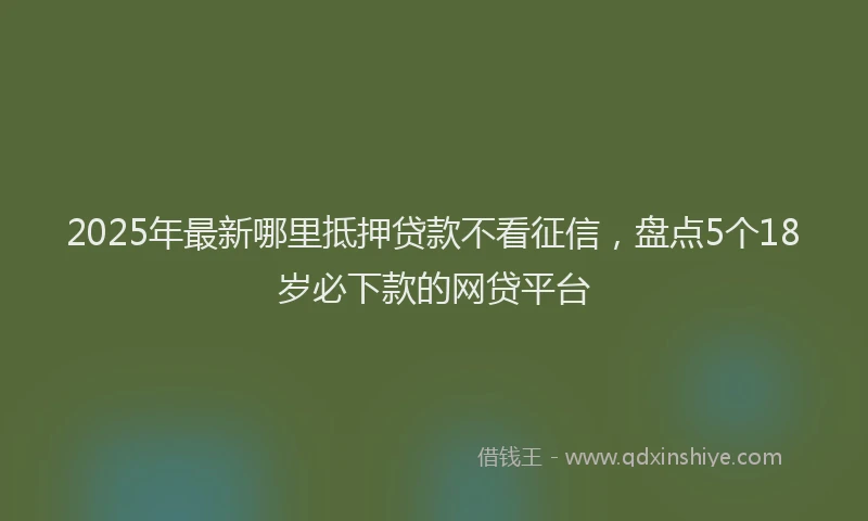 2025年最新哪里抵押贷款不看征信，盘点5个18岁必下款的网贷平台
