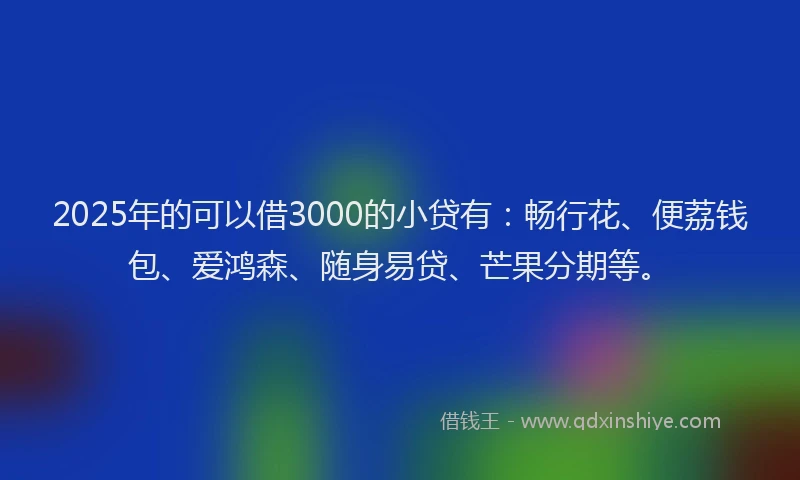 2025年的可以借3000的小贷有：畅行花、便荔钱包、爱鸿森、随身易贷、芒果分期等。