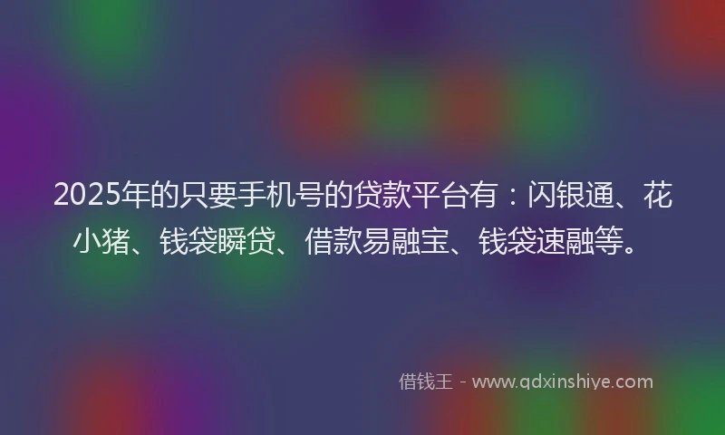 2025年的只要手机号的贷款平台有：闪银通、花小猪、钱袋瞬贷、借款易融宝、钱袋速融等。