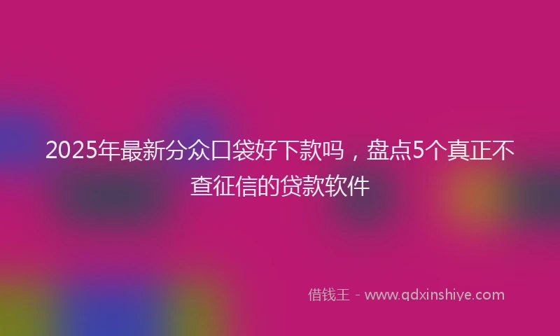 2025年最新分众口袋好下款吗，盘点5个真正不查征信的贷款软件