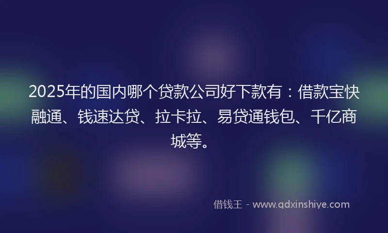 2025年的国内哪个贷款公司好下款有：借款宝快融通、钱速达贷、拉卡拉、易贷通钱包、千亿商城等。