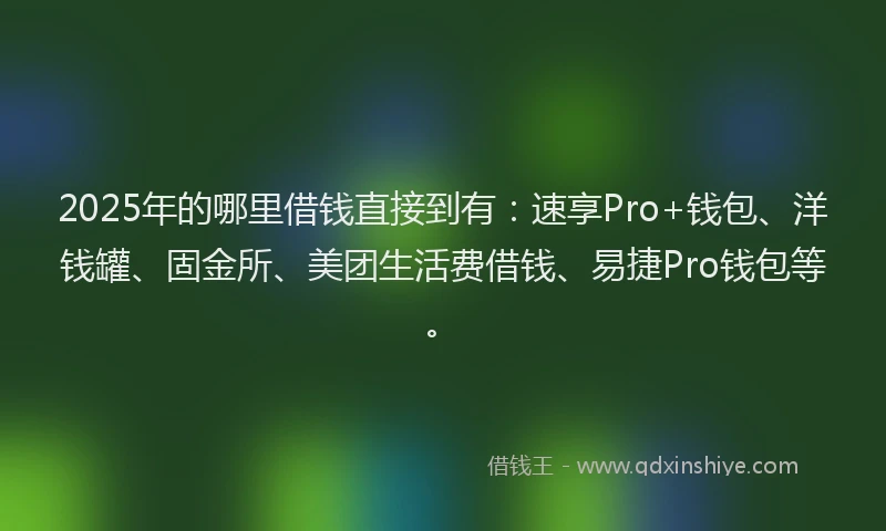 2025年的哪里借钱直接到有：速享Pro+钱包、洋钱罐、固金所、美团生活费借钱、易捷Pro钱包等。