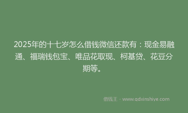 2025年的十七岁怎么借钱微信还款有：现金易融通、福瑞钱包宝、唯品花取现、柯基贷、花豆分期等。