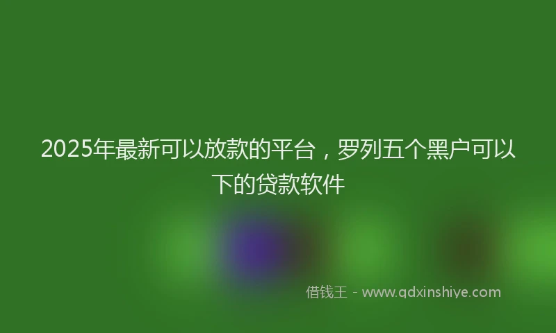 2025年最新可以放款的平台，罗列五个黑户可以下的贷款软件