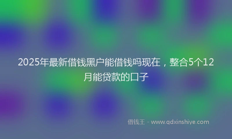 2025年最新借钱黑户能借钱吗现在，整合5个12月能贷款的口子