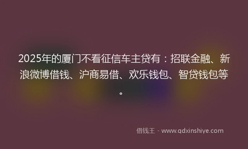 2025年的厦门不看征信车主贷有：招联金融、新浪微博借钱、沪商易借、欢乐钱包、智贷钱包等。