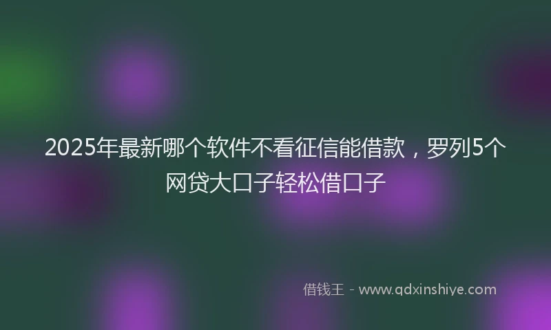 2025年最新哪个软件不看征信能借款，罗列5个网贷大口子轻松借口子