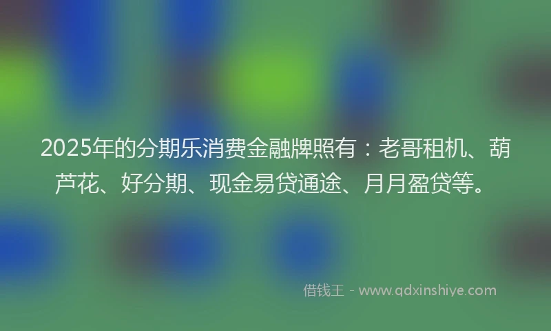 2025年的分期乐消费金融牌照有：老哥租机、葫芦花、好分期、现金易贷通途、月月盈贷等。