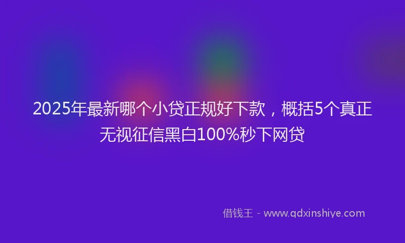 2025年最新哪个小贷正规好下款，概括5个真正无视征信黑白100%秒下网贷
