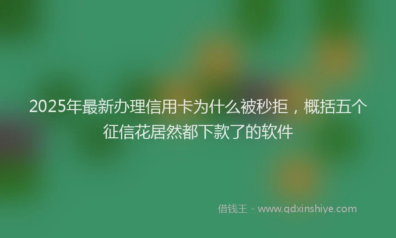 2025年最新办理信用卡为什么被秒拒，概括五个征信花居然都下款了的软件