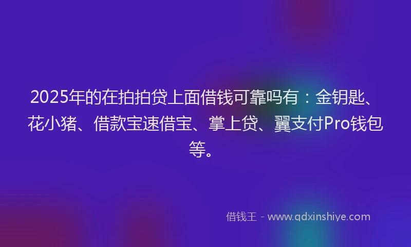 2025年的在拍拍贷上面借钱可靠吗有：金钥匙、花小猪、借款宝速借宝、掌上贷、翼支付Pro钱包等。