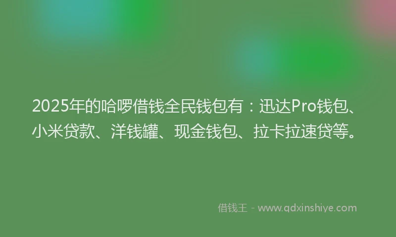 2025年的哈啰借钱全民钱包有：迅达Pro钱包、小米贷款、洋钱罐、现金钱包、拉卡拉速贷等。