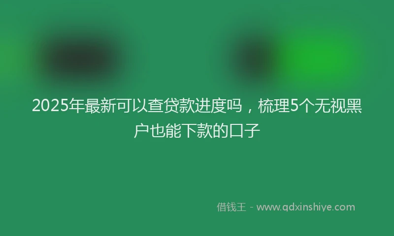 2025年最新可以查贷款进度吗，梳理5个无视黑户也能下款的口子