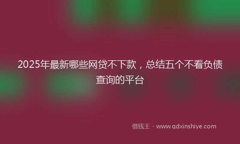 2025年最新哪些网贷不下款，总结五个不看负债查询的平台