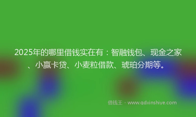 2025年的哪里借钱实在有：智融钱包、现金之家、小赢卡贷、小麦粒借款、琥珀分期等。