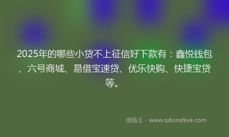 2025年的哪些小贷不上征信好下款有：鑫悦钱包、六号商城、易借宝速贷、优乐快购、快捷宝贷等。