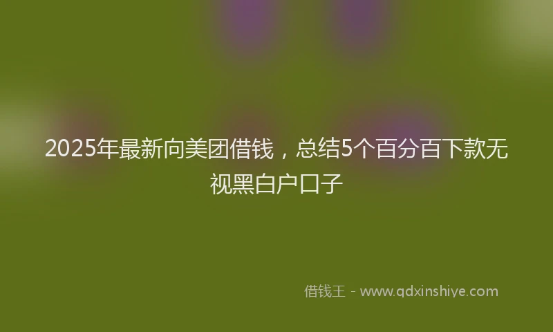 2025年最新向美团借钱，总结5个百分百下款无视黑白户口子