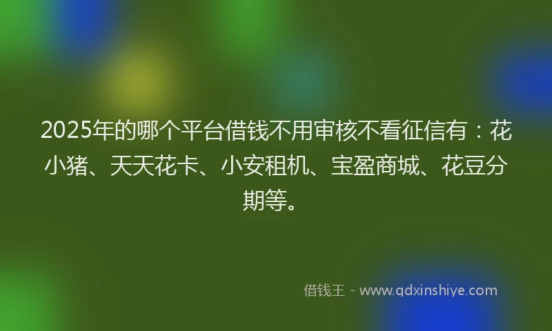 2025年的哪个平台借钱不用审核不看征信有：花小猪、天天花卡、小安租机、宝盈商城、花豆分期等。