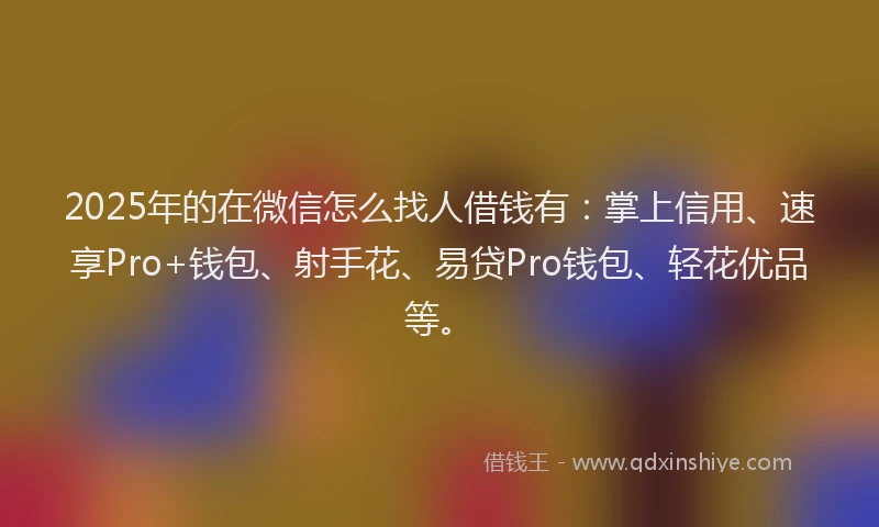 2025年的在微信怎么找人借钱有：掌上信用、速享Pro+钱包、射手花、易贷Pro钱包、轻花优品等。