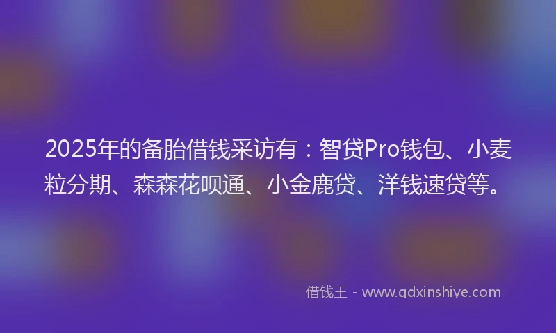 2025年的备胎借钱采访有：智贷Pro钱包、小麦粒分期、森森花呗通、小金鹿贷、洋钱速贷等。