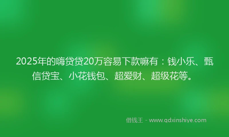 2025年的嗨贷贷20万容易下款嘛有：钱小乐、甄信贷宝、小花钱包、超爱财、超级花等。