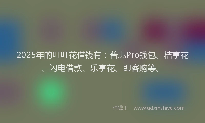2025年的叮叮花借钱有：普惠Pro钱包、桔享花、闪电借款、乐享花、即客购等。