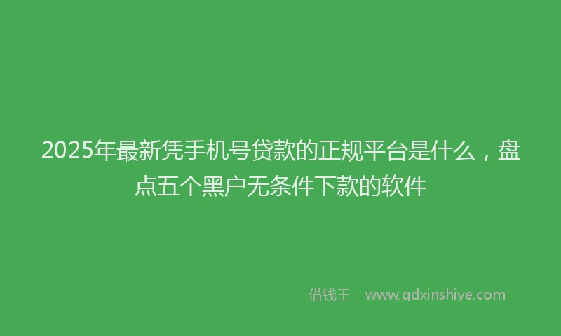 2025年最新凭手机号贷款的正规平台是什么，盘点五个黑户无条件下款的软件