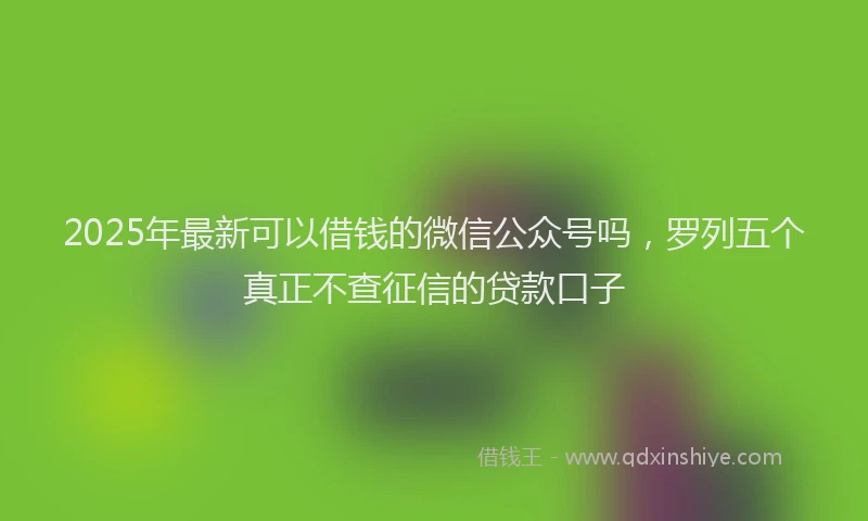 2025年最新可以借钱的微信公众号吗，罗列五个真正不查征信的贷款口子